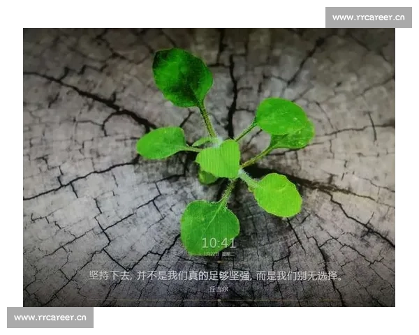 木比赛盛大开幕：挑战极限，创新竞技，共享绿色未来