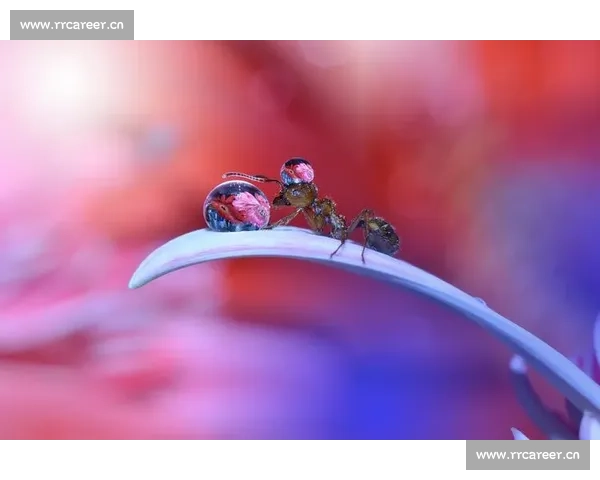 梦境中的赛场：探索梦到比赛背后的心理寓意与人生启示